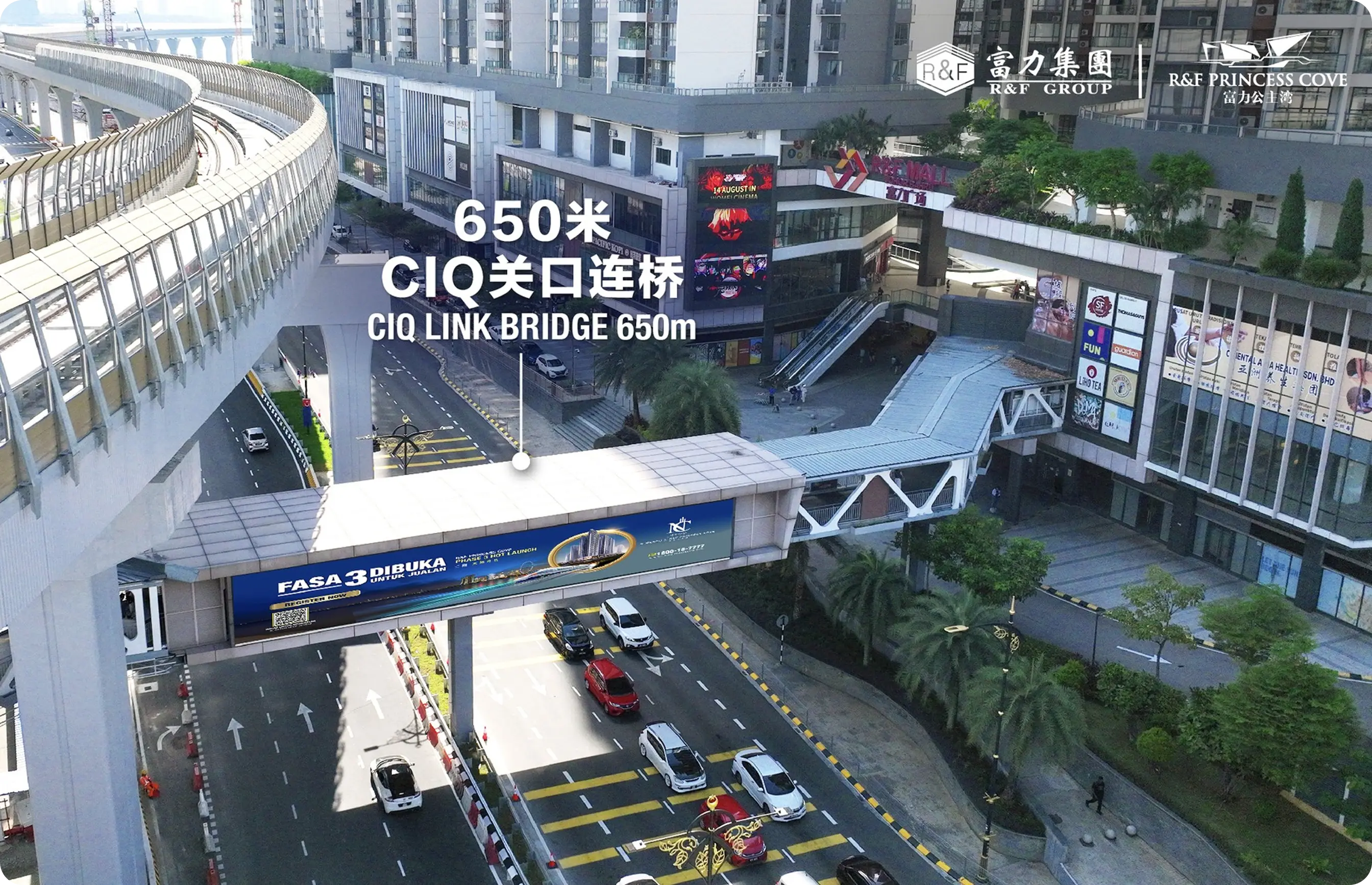 CIQ Link Bridge 650m